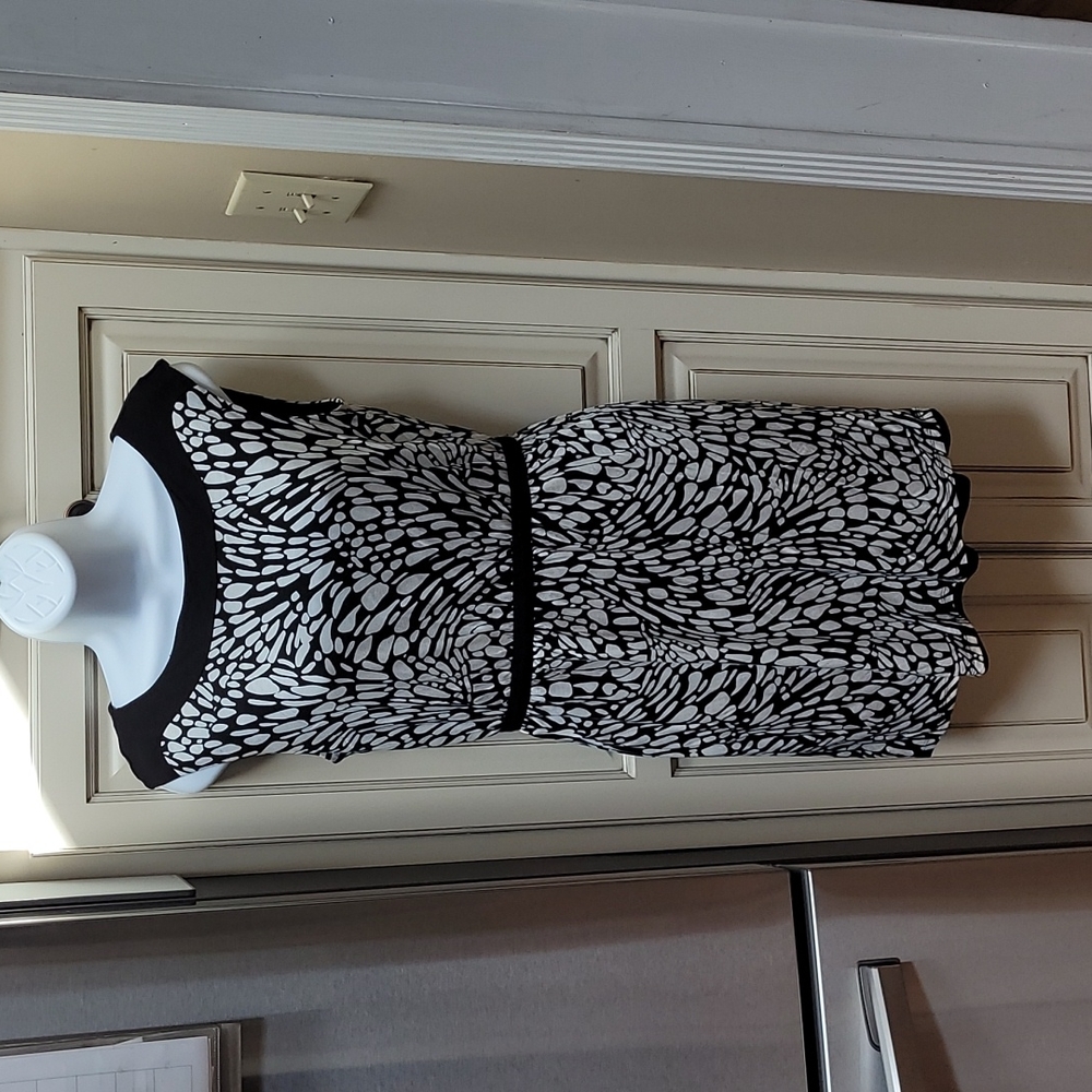 Ann Taylor Loft Easy Black and White Dress